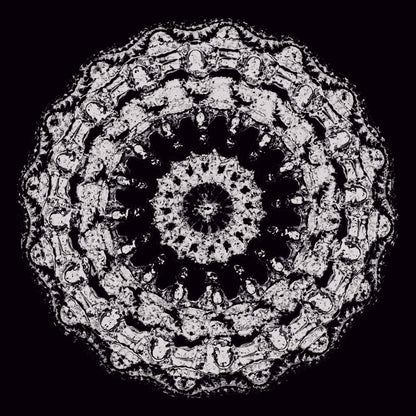 Polera negra manga corta. El diseño de esta polera presenta una ilustración de gran tamaño situada al centro. Tiene forma circular y se compone de muchos patrones repetidos, como una mandala o una flor abstracta. Está formada por varias capas concéntricas, donde cada anillo contiene detalles pequeños y texturas, generando sensación de relieve visual. Los colores principales son blanco y negro, con el fondo oscuro y la figura en tonos claros, lo que destaca mucho el dibujo central y sus detalles ornamentales